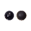 Immagine di PVM0190