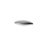 Immagine di PRA0024
