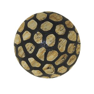Picture of PCB0022