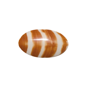 Picture of PEC0002