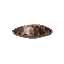 Immagine di PEC0006