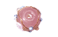 Picture of PVA0350