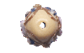 Picture of PVA0350