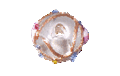 Picture of PVA0350