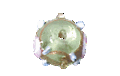 Picture of PVA0350