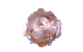 Picture of PVA0350