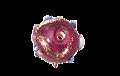 Picture of PVA0380