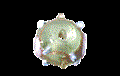 Picture of PVA0380