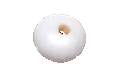 Immagine di PVM0320 LUCIDO
