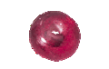 Immagine di PVM0320 LUCIDO