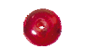 Picture of PVM0330 SHINE