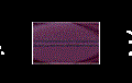 Picture of PVX0047
