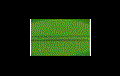 Picture of PVX0047