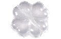 Immagine di PVX0065
