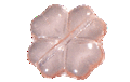 Immagine di PVX0065