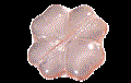 Immagine di PVX0067
