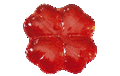 Immagine di PVX0067