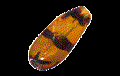 Immagine di PVX0093